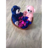 PINK-_-BLUE